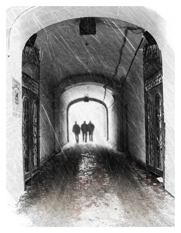 Метель фото превью