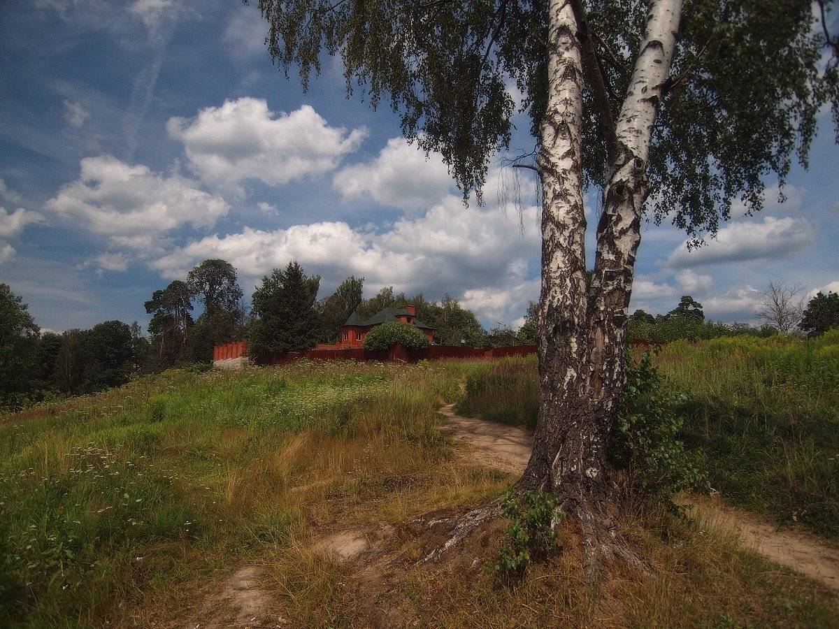 , Владимир Перепечаев