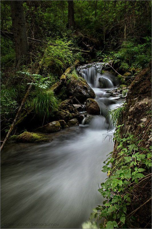 Лесной ручей III фото превью