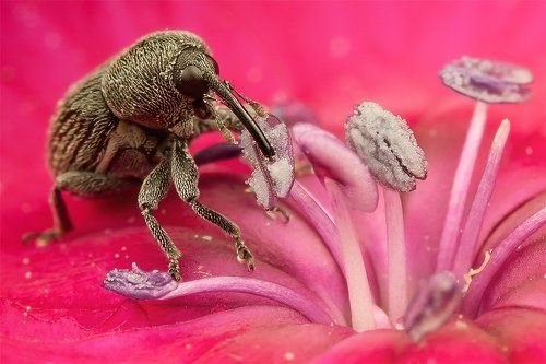 Роскошный  завтрак