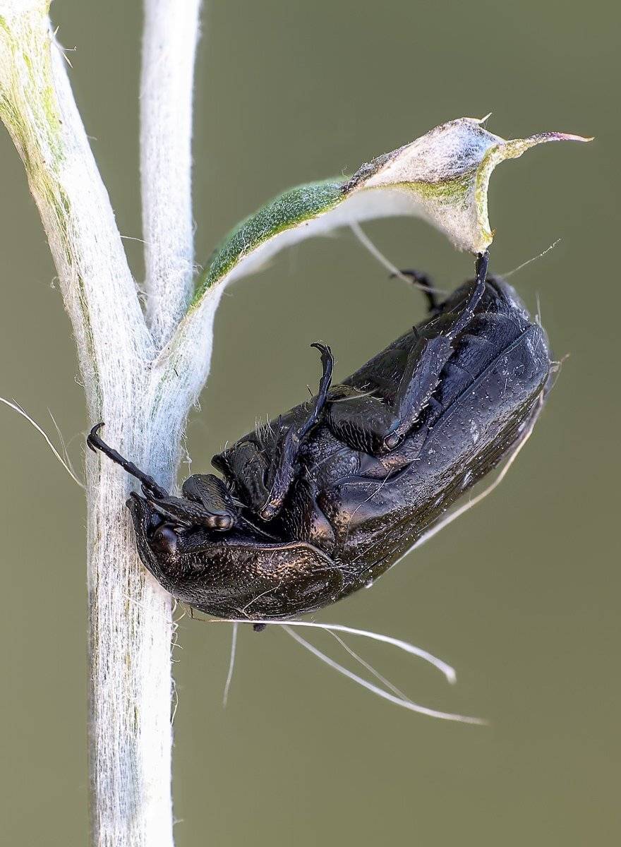 , Вадим Ходаковский