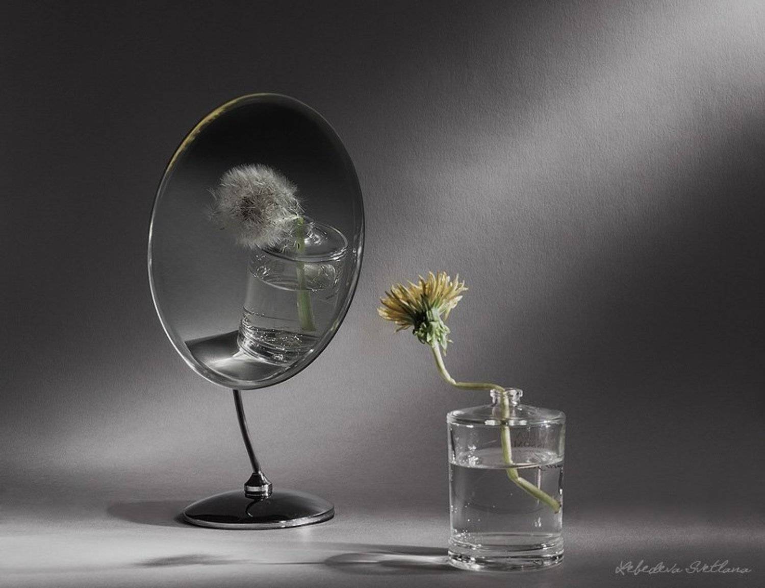 натюрморт,одуванчик,зеркало, Светлана Л.