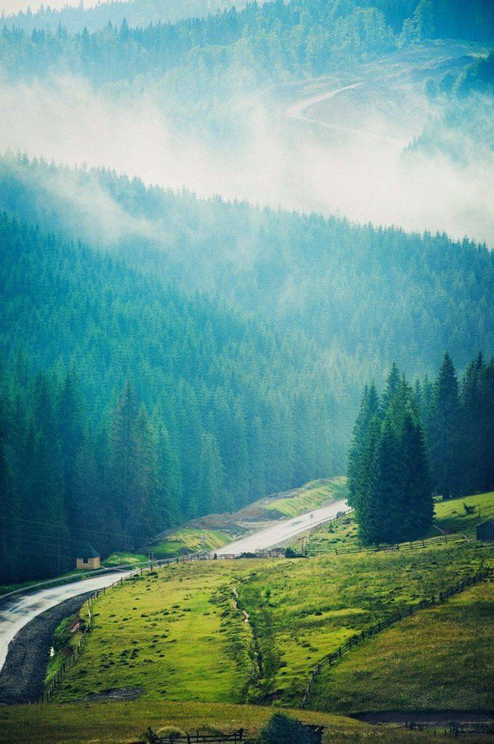 карпаты,дорога,пейзаж, Аркадий Курта