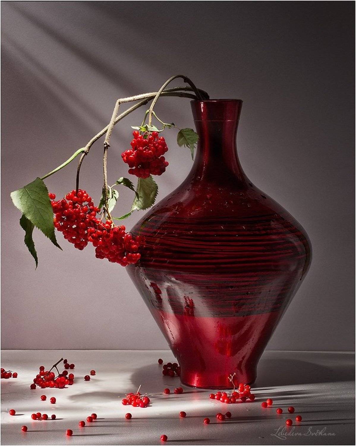 натюрморт,ваза,бузина, Светлана Л.