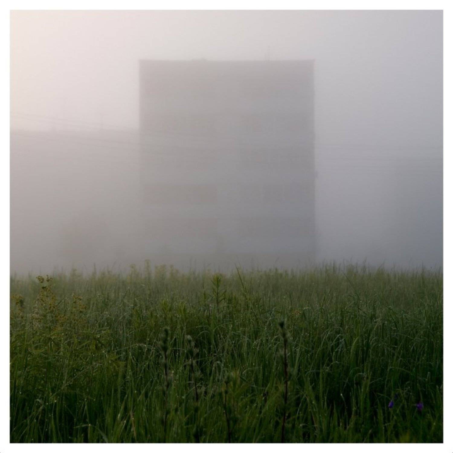 , михаил михаил