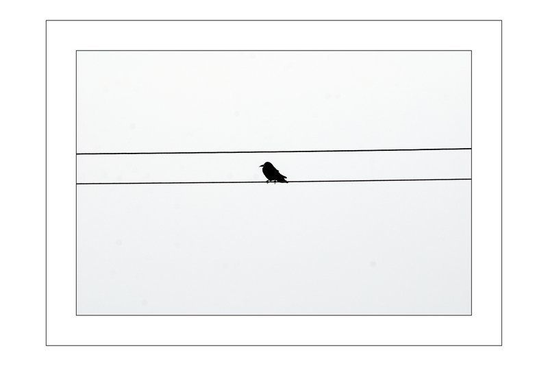 ПРОСТО ФОТО фото превью