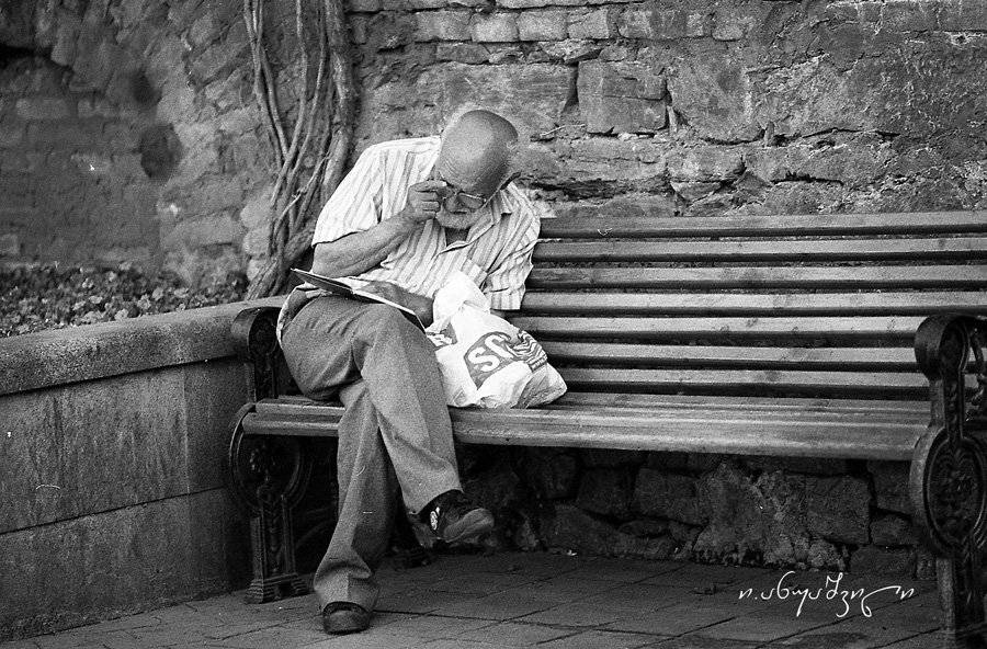 literate, pojarnik01