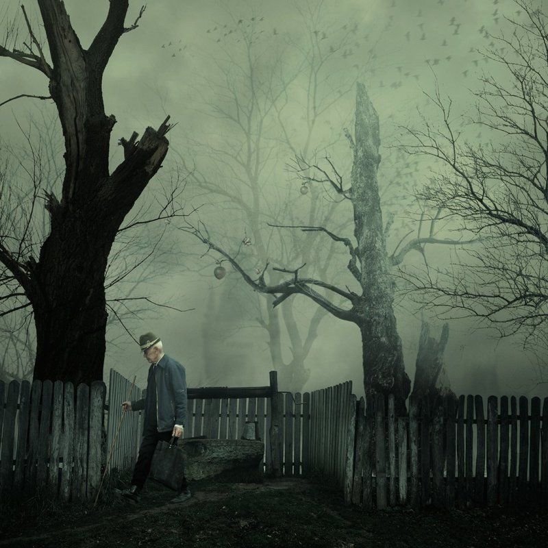 The hidden nest фото превью