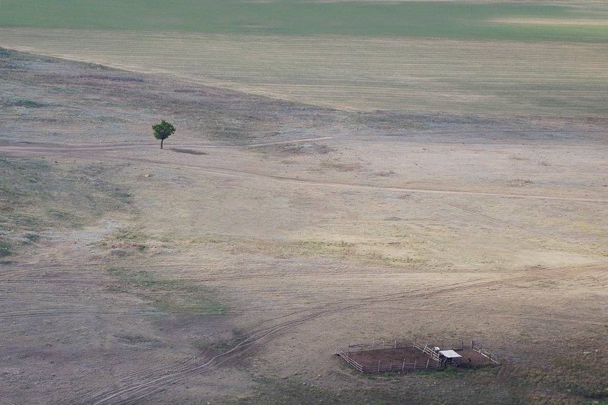 , Сидоренко Алексей