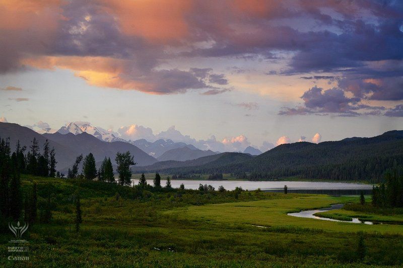 фотопроект, неизвестный, казахстан, природа, фотосафари, kazakhstan, photo, safari ВКО фото превью