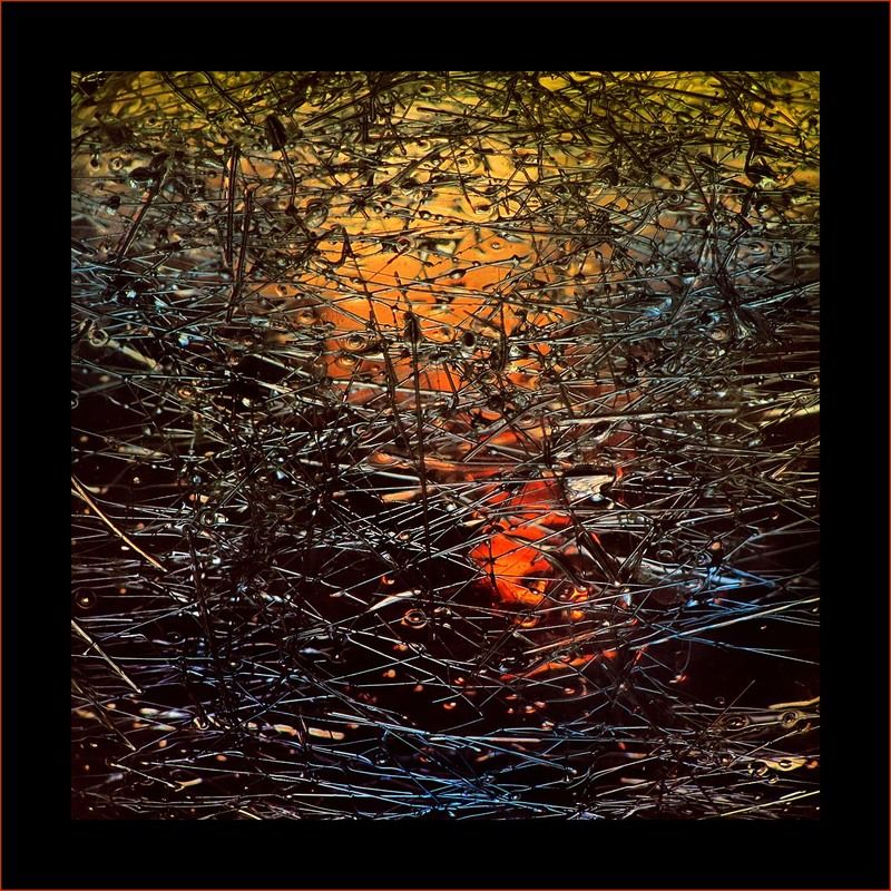 СЕТЬ фото превью