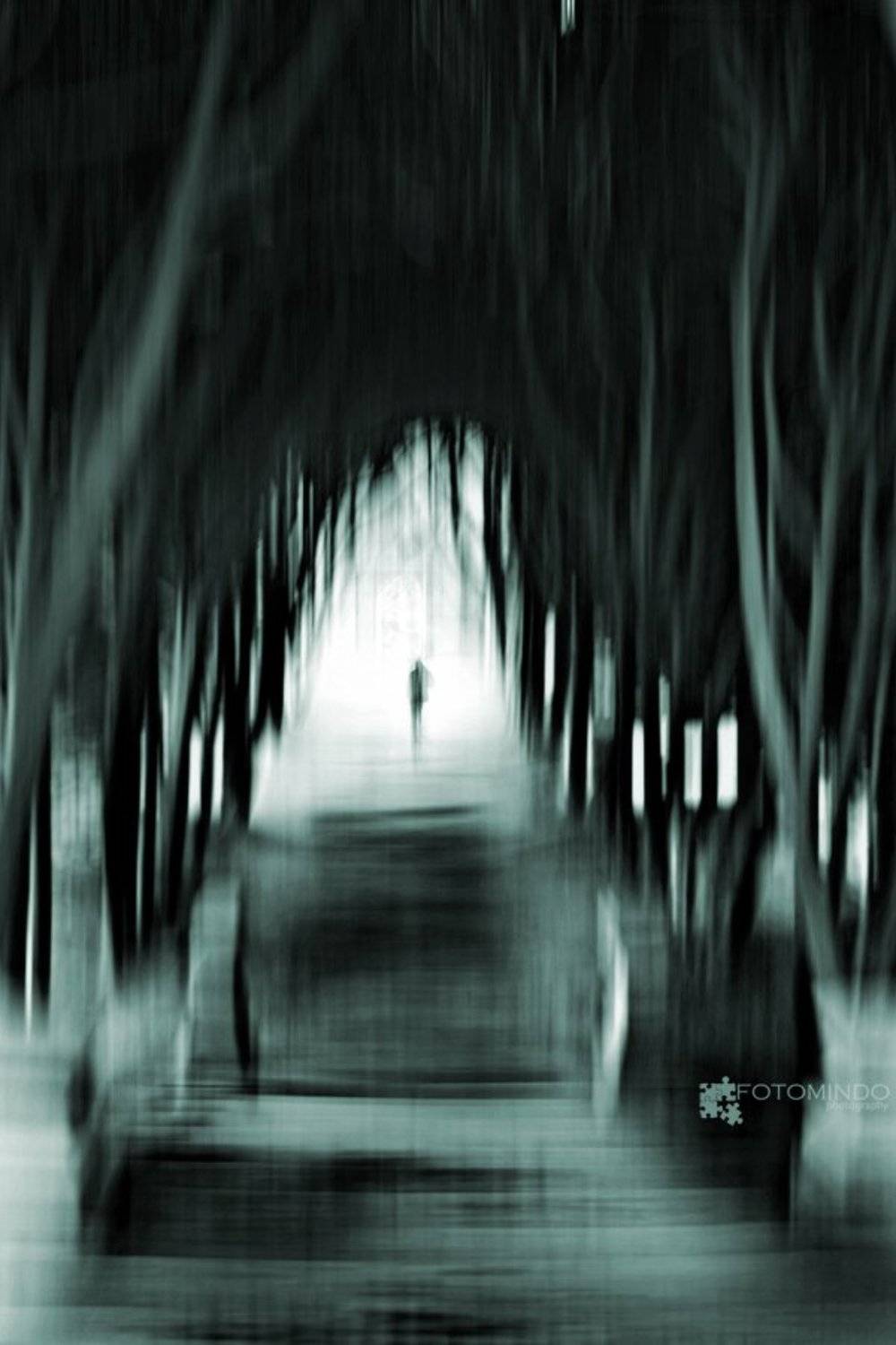 , Mindaugas Navickas