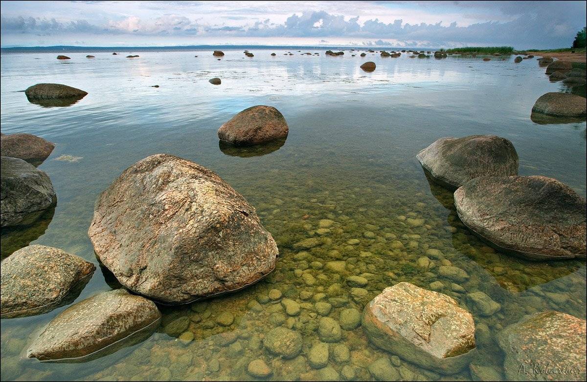 , Ковалевич А.