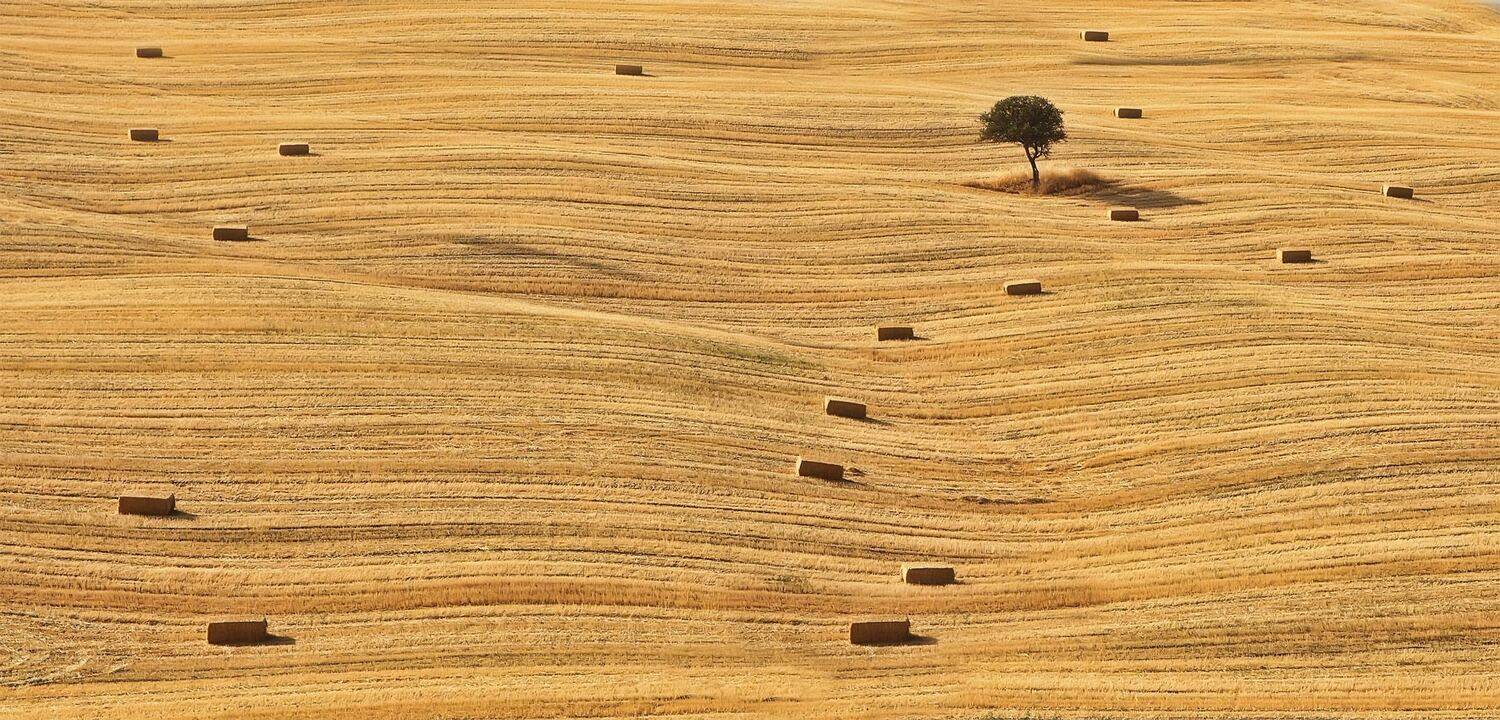 италия, тоскана, Игорь Дубровский