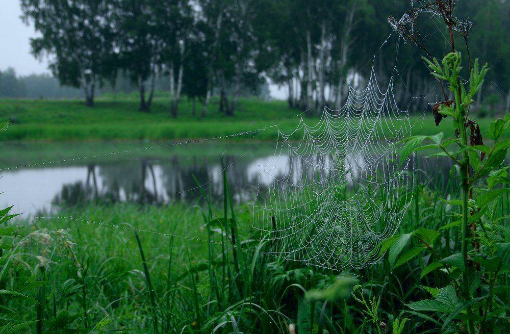 , Николай Морский