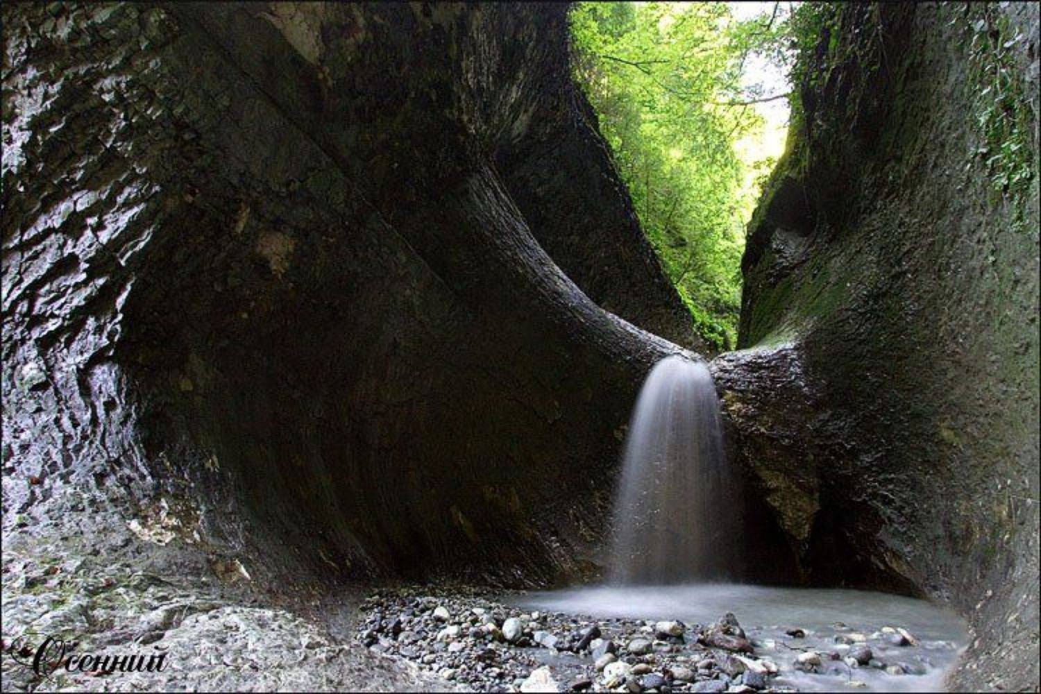 , Алексеев Виктор