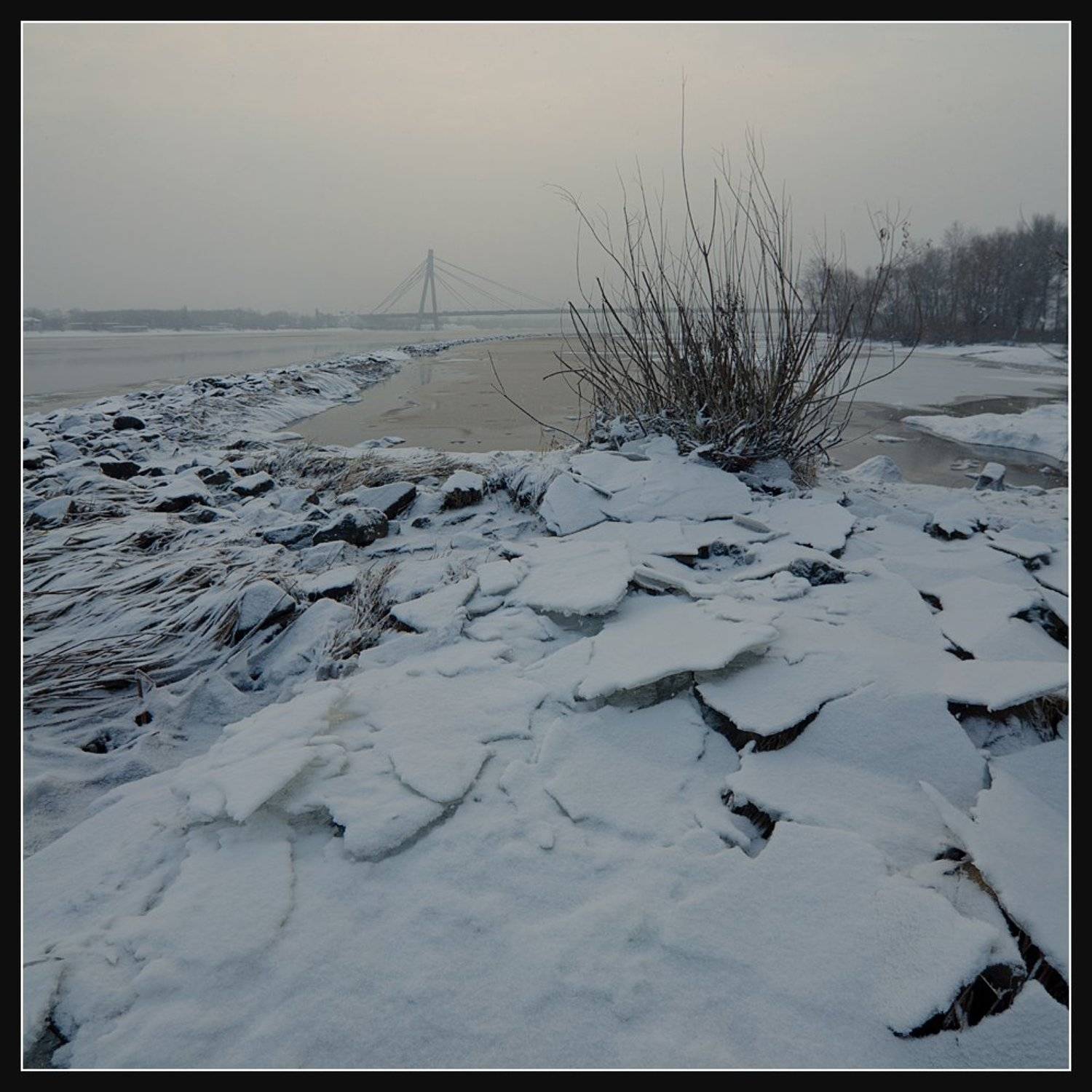 , Алексей Соловей