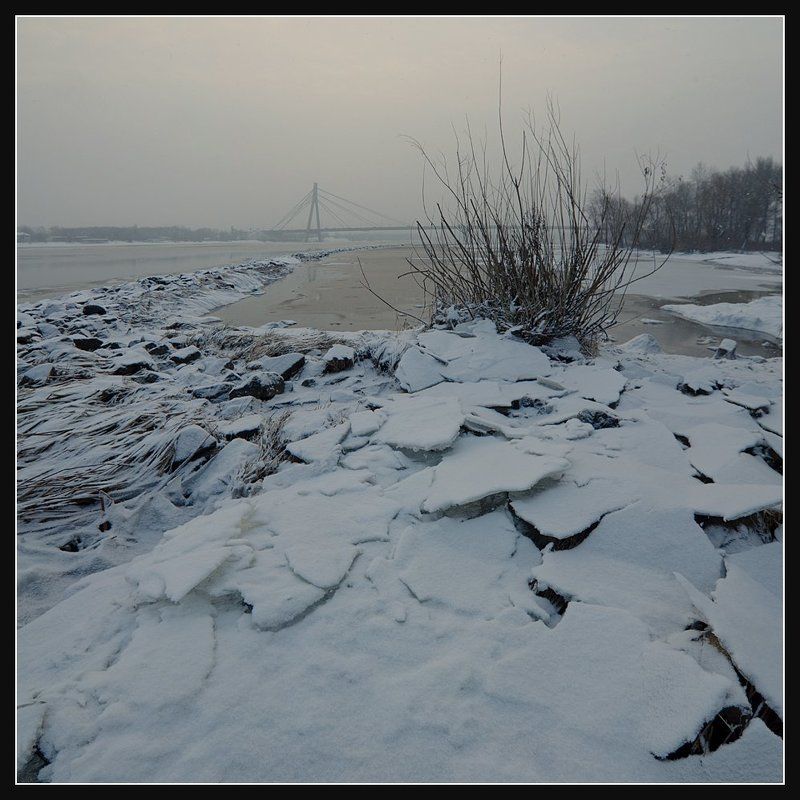 Морозным утром... фото превью