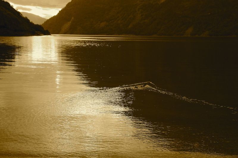 норвегия *** фото превью