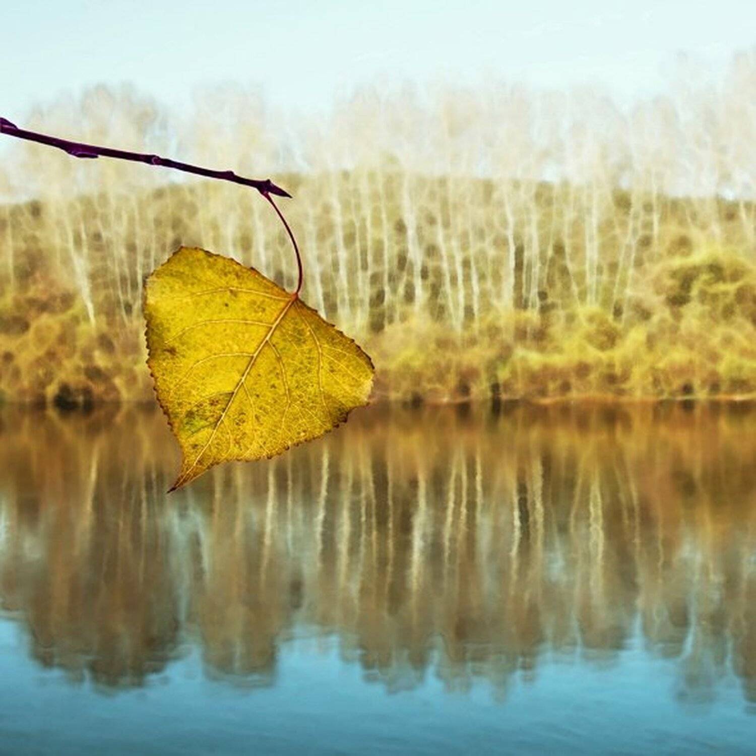 кузбасс, Гагик