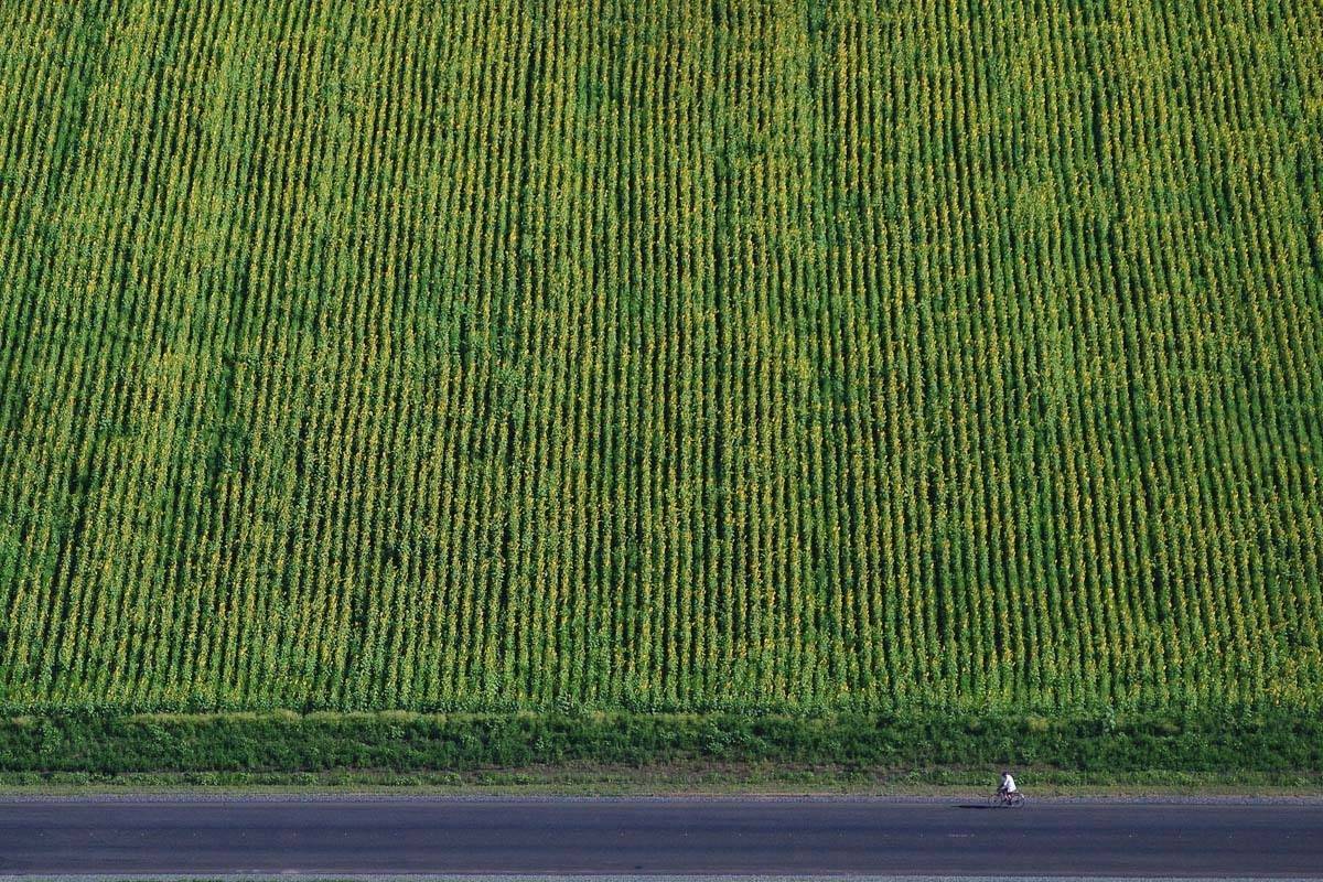 , Сидоренко Алексей