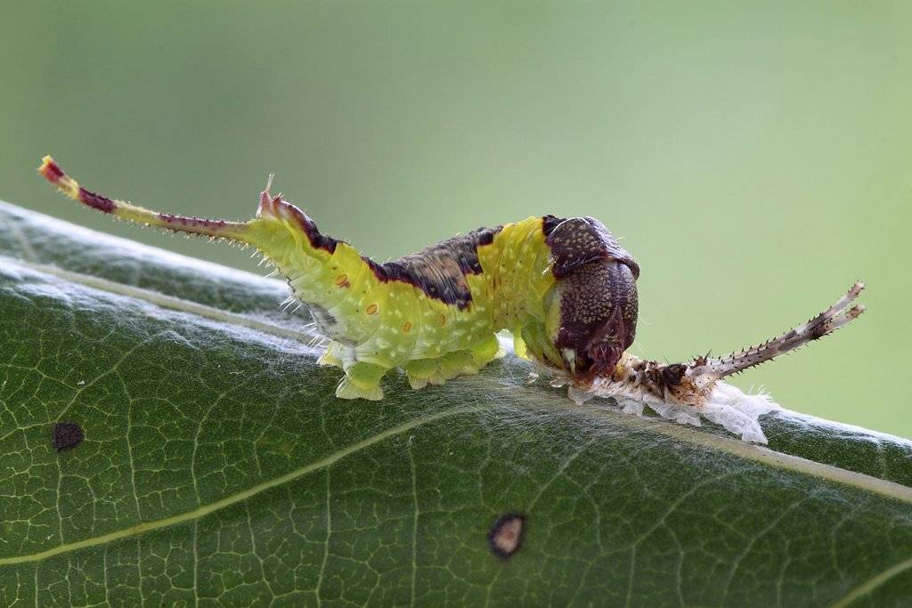 , Сергей Таланов