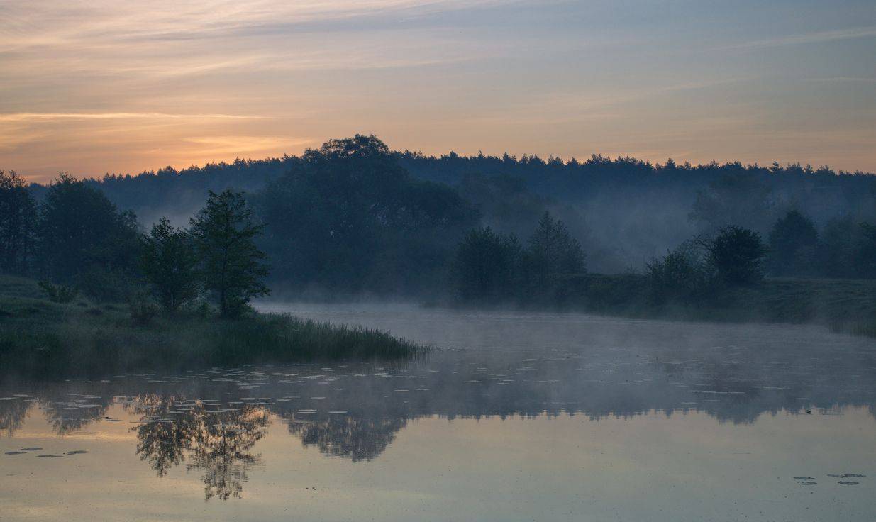 , Володимир Карчевський