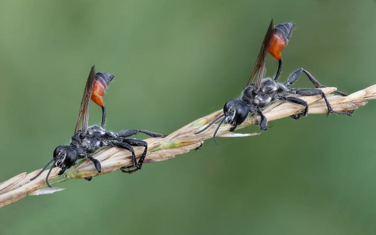 , Вадим Ходаковский