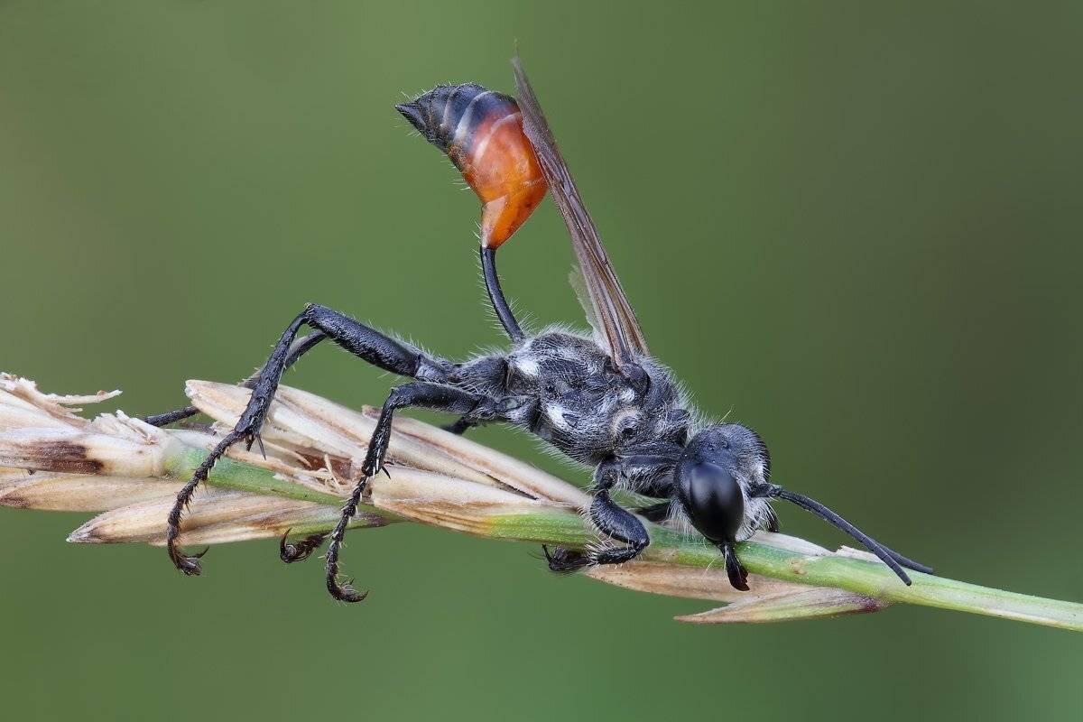 , Вадим Ходаковский