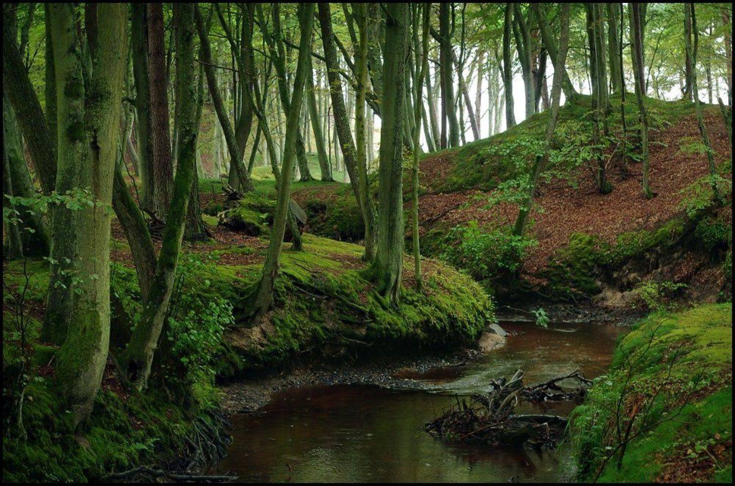 , Remigiusz Ossolinski