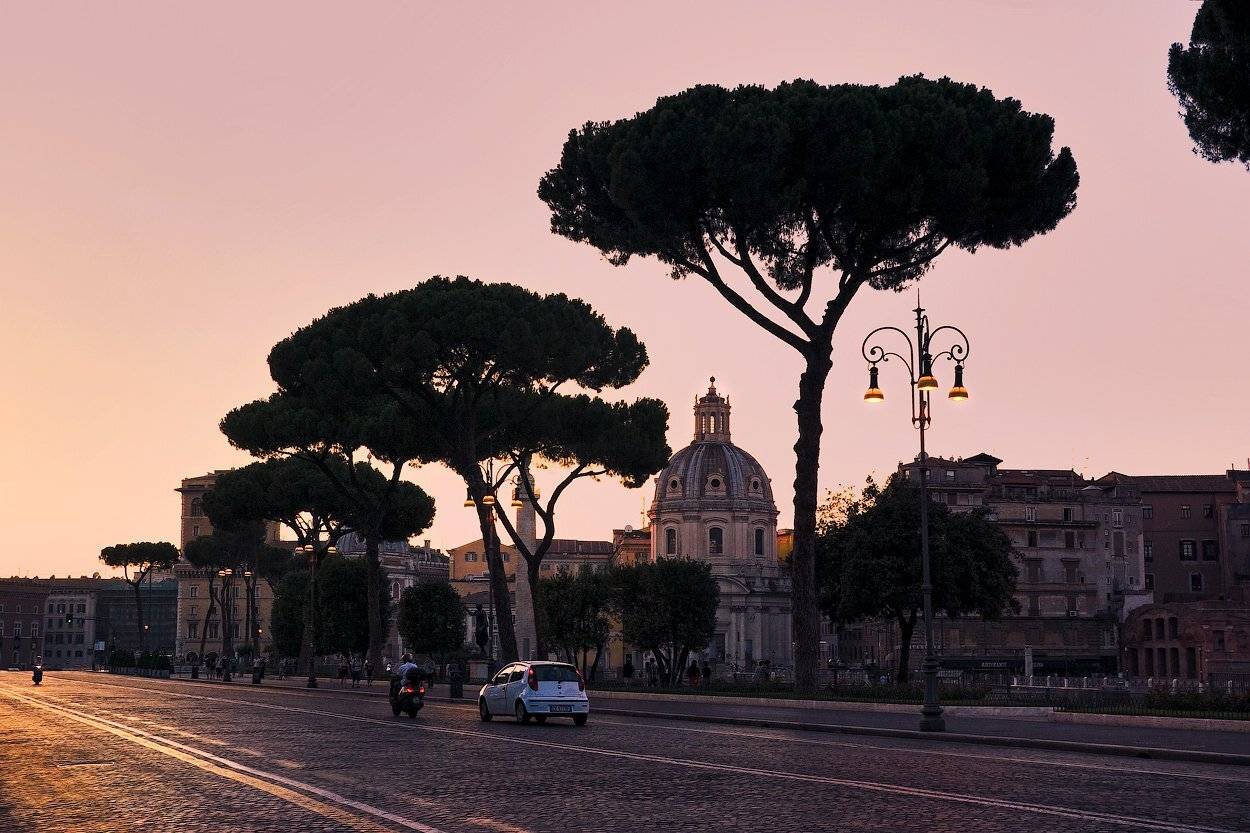 , Игорь Мелекесцев