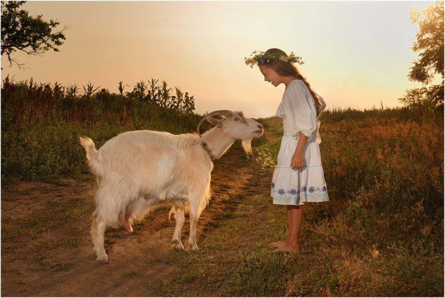 , Щербина Игорь