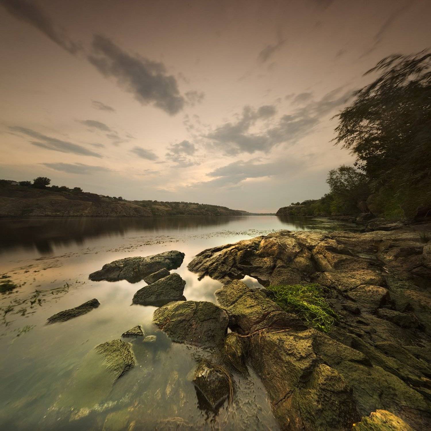 , Величко Владимир