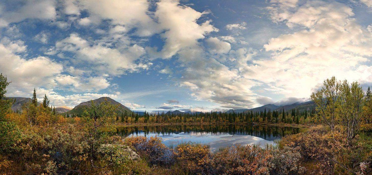 безымянное, озеро, Владимир Кириченко (vlkira)