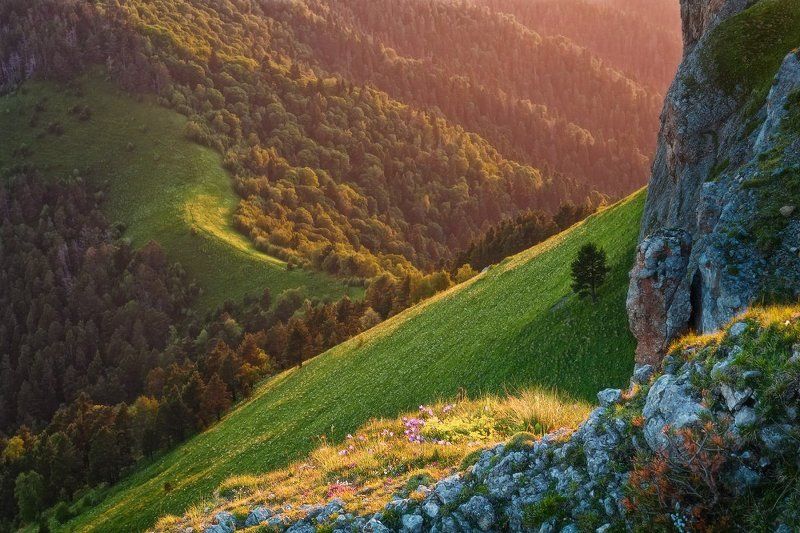 Вечерний свет фото превью