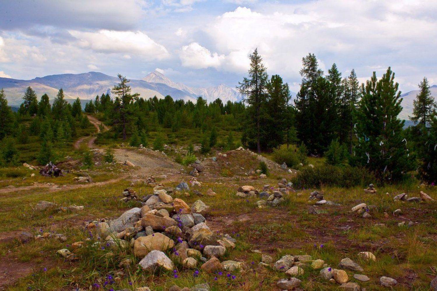 алтай,горный алтай ,на улаганском перевале.., Олег Кулаков