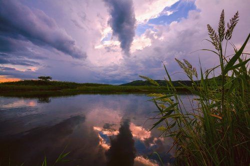Однажды вечером...