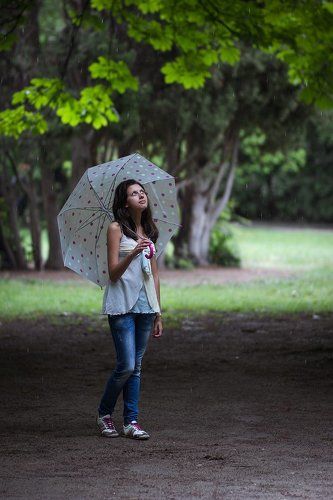 Дождливый день