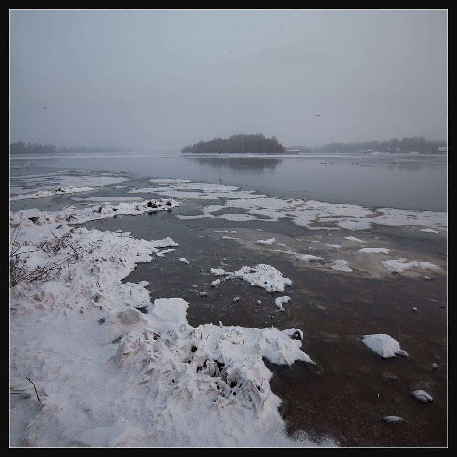 , Алексей Соловей