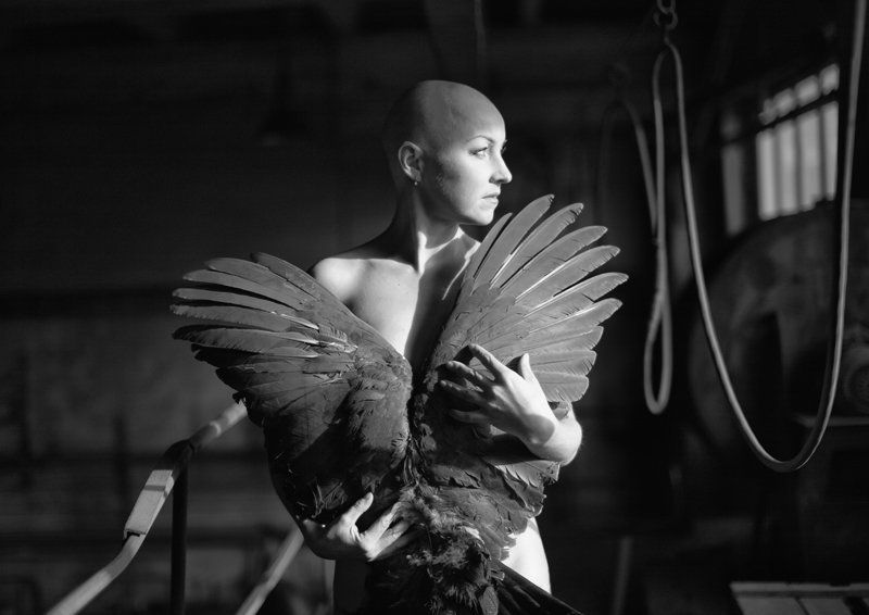 ... фото превью