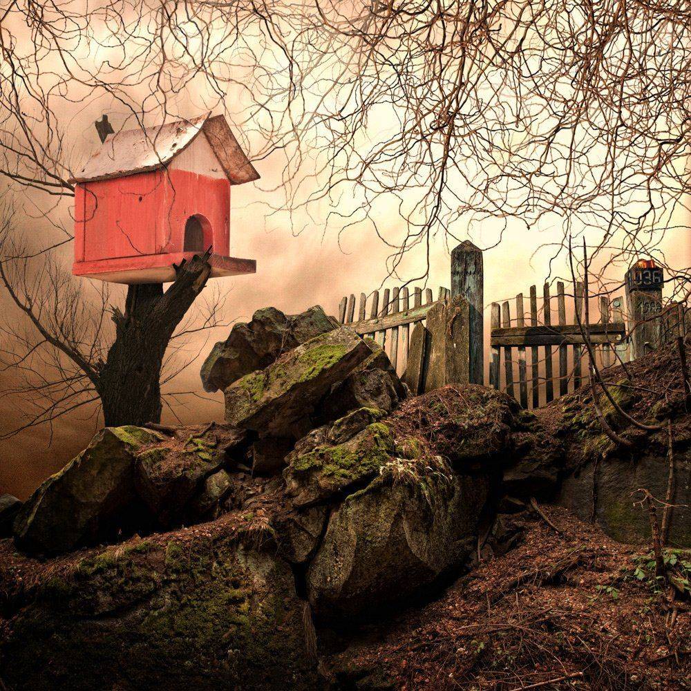 , Caras Ionut