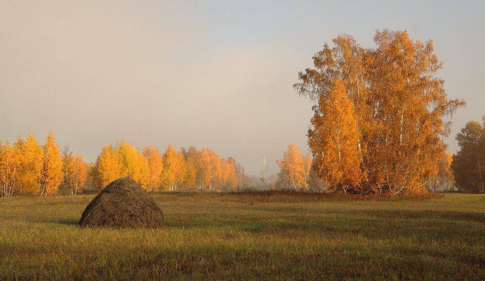 , Николай Морский