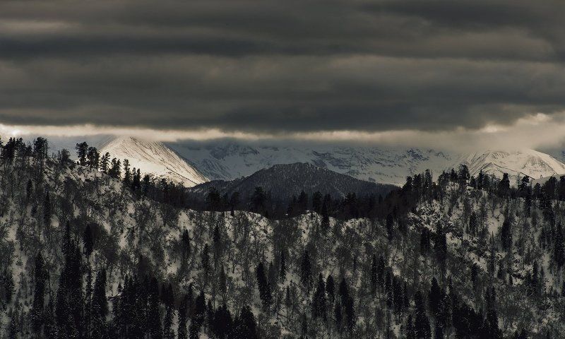СКВОЗЬ НЕПОГОДУ фото превью