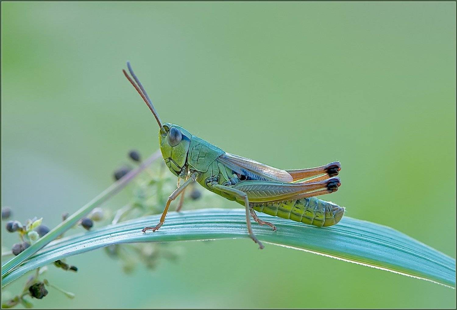 , Евгений Кирилкин.