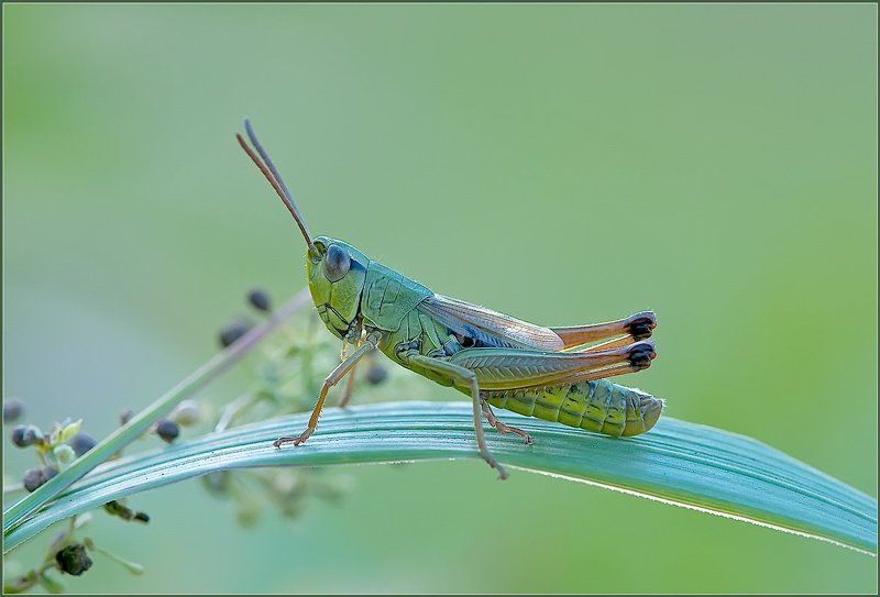 На мостике. фото превью