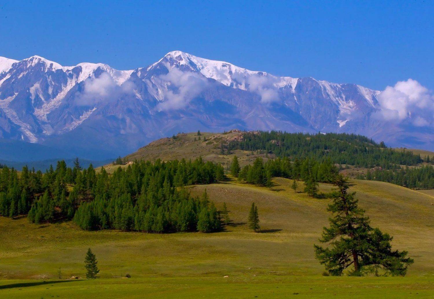 алтай, Олег Кулаков