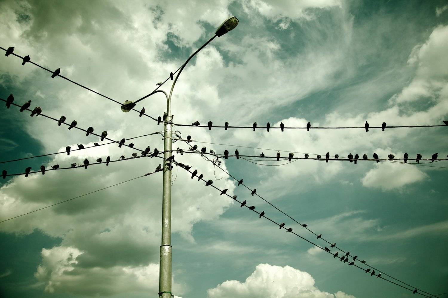 , Ясен Перец