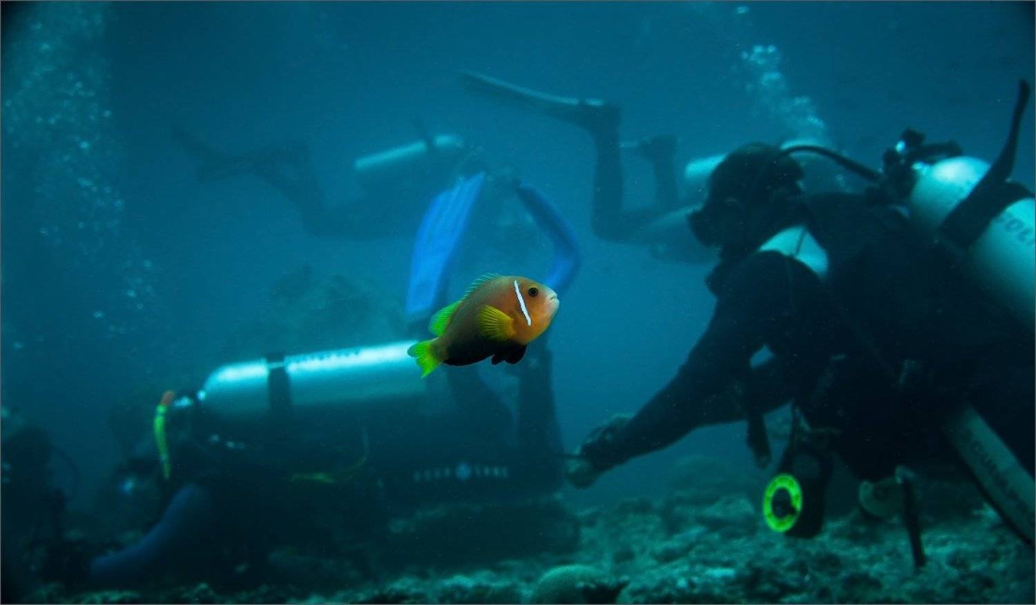 обалдевшая, Нетушки