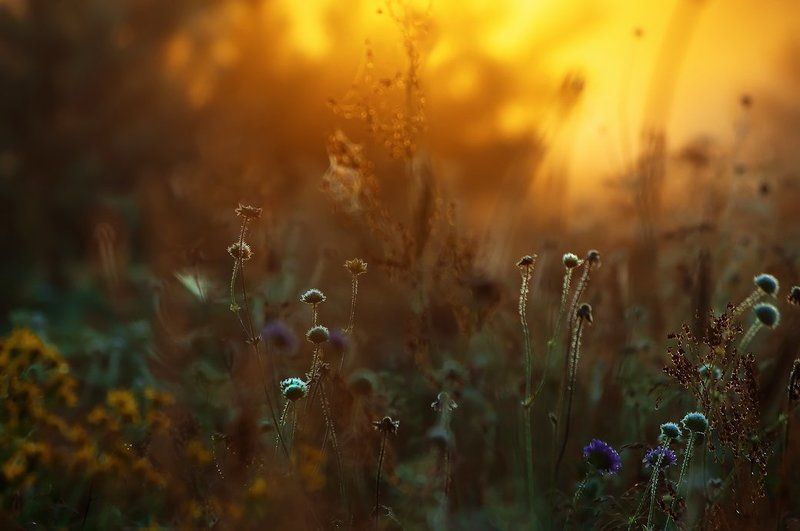 Начало дня фото превью