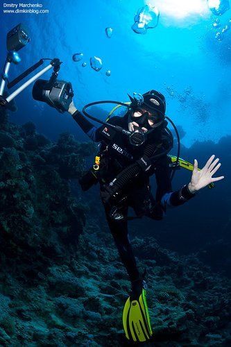 Фотографа вызывали ?